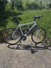 Stevens XCross