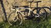 LIV Langma Advanced Pro 0 Special edition “S”