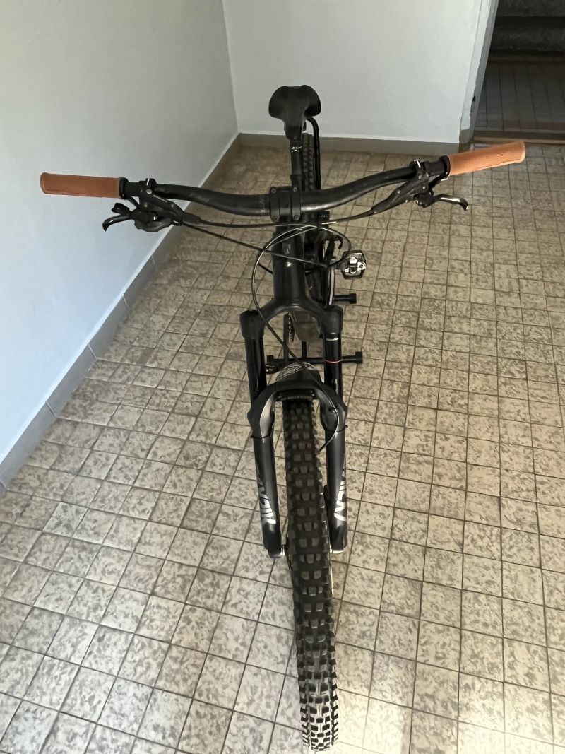 Trek Remedy 8 