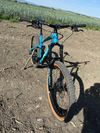 Trek Remedy 7