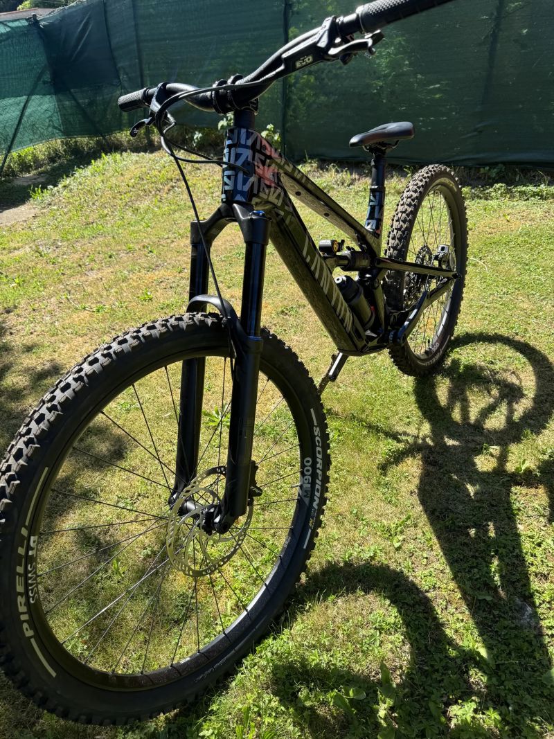 Canyon Spectral CF mullet custom