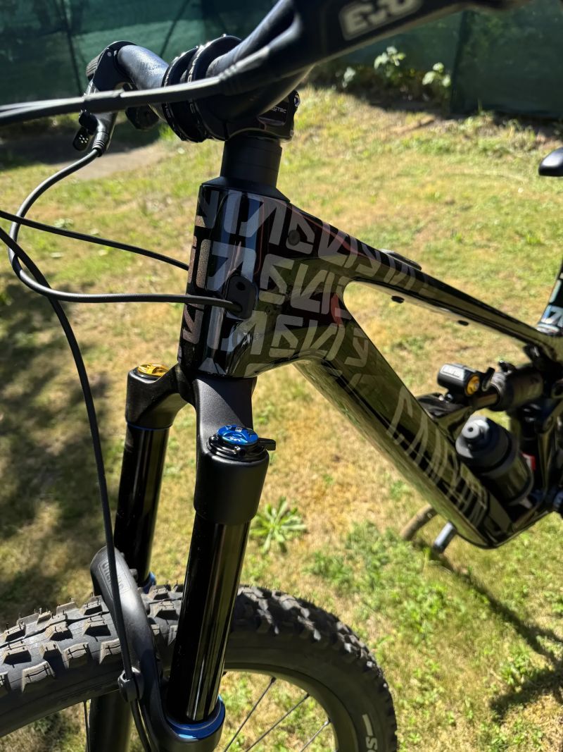 Canyon Spectral CF mullet custom