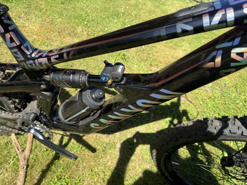 Canyon Spectral CF mullet custom