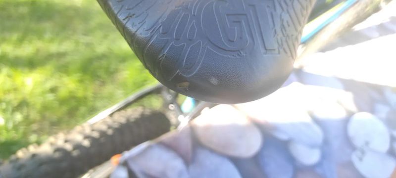 GT Avalanche Sport 2021, 27,5, Vel. L