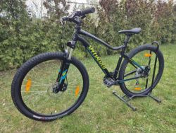 Specialized