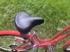 Trek Electra Bicycle Company.
