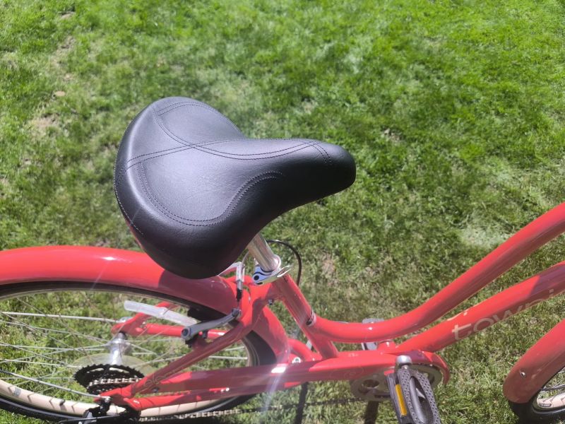 Trek Electra Bicycle Company.