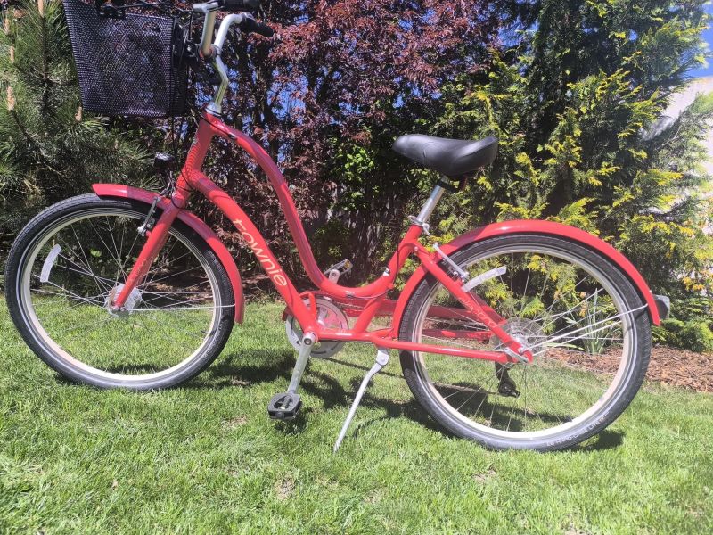 Trek Electra Bicycle Company.
