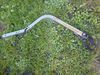 Croozer Charriot cougar 1