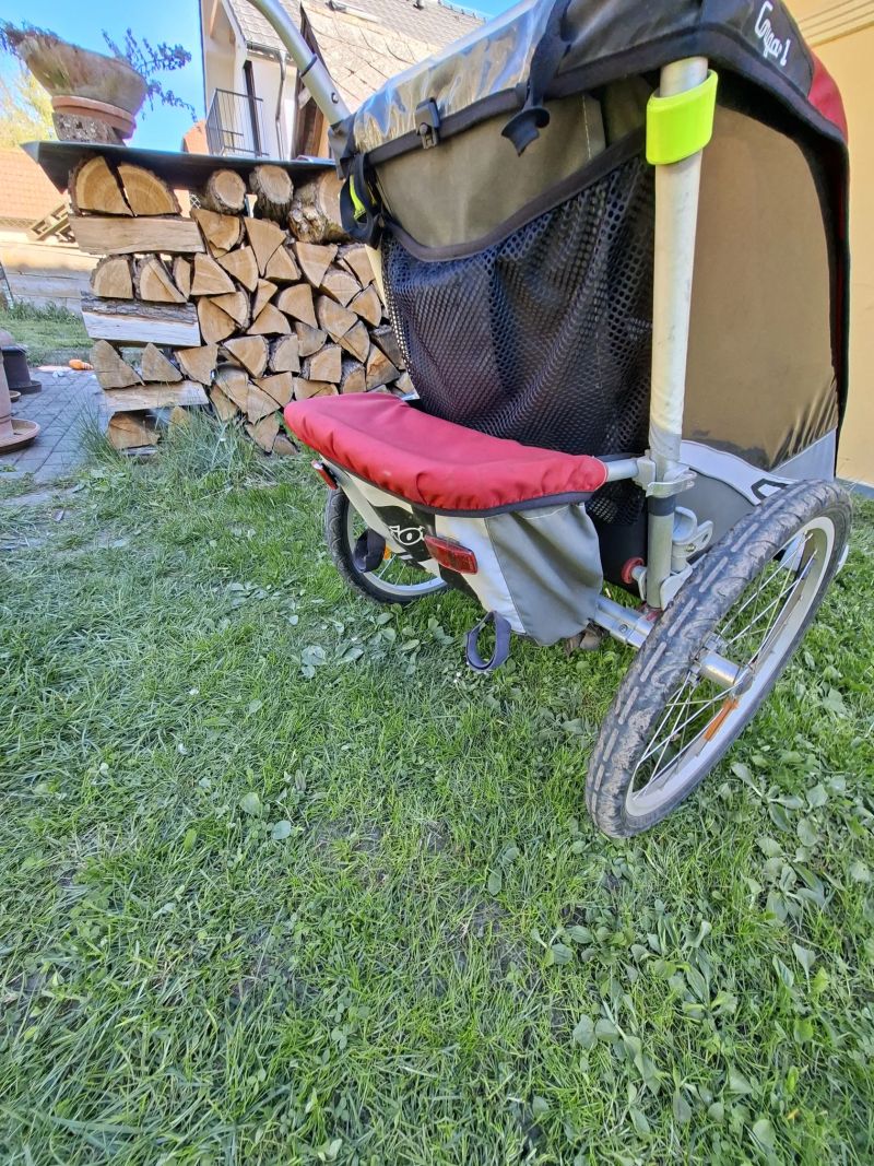 Croozer Charriot cougar 1