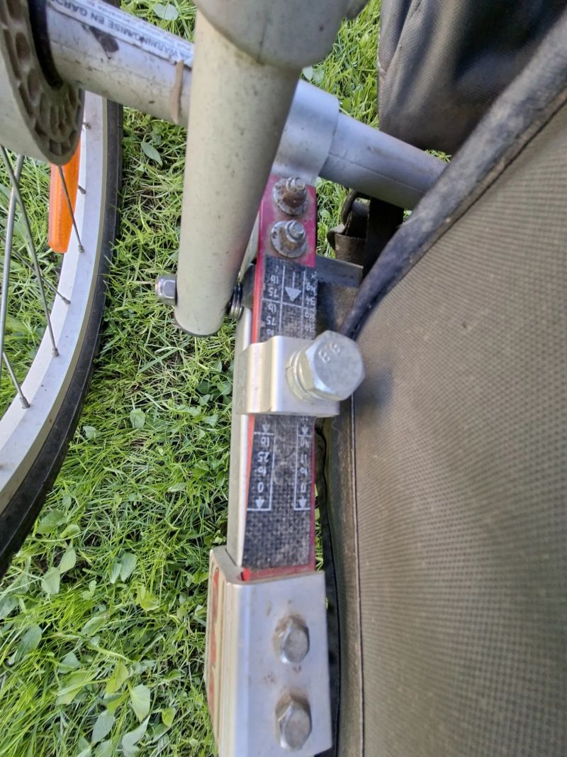 Croozer Charriot cougar 1
