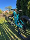 Trek Remedy 9.8