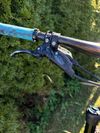 Trek Remedy 9.8