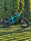 Trek Remedy 9.8