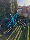 Trek Remedy 9.8