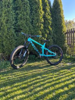 Trek Remedy 9.8