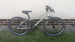 Rascal 20"
