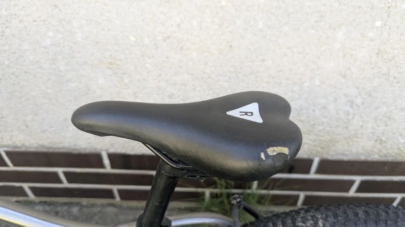 Rascal 20"