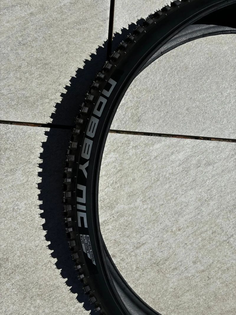 Schwalbe