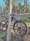 SR Suntour durolux 36