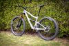 Ibis Ripmo V2 carbon
