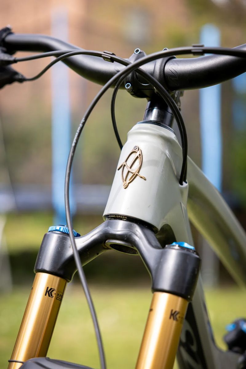 Ibis Ripmo V2 carbon