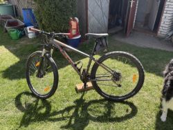 GT Avalanche vel. S