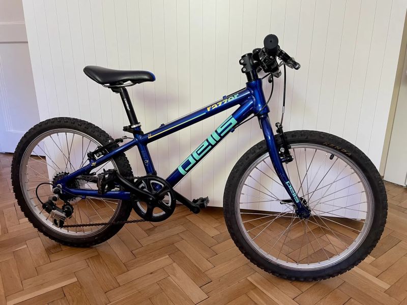 Dětské kolo Pells 20" – po servisu a odlehčené (9,8 kg)