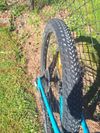 Specialized rockhopper