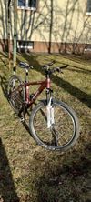 Trek Skye sl