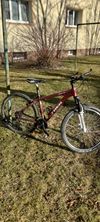 Trek Skye sl