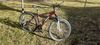 Trek Skye sl