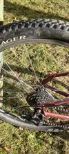Trek Skye sl
