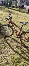 Trek Skye sl