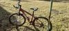 Trek Skye sl