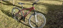 Trek Skye sl