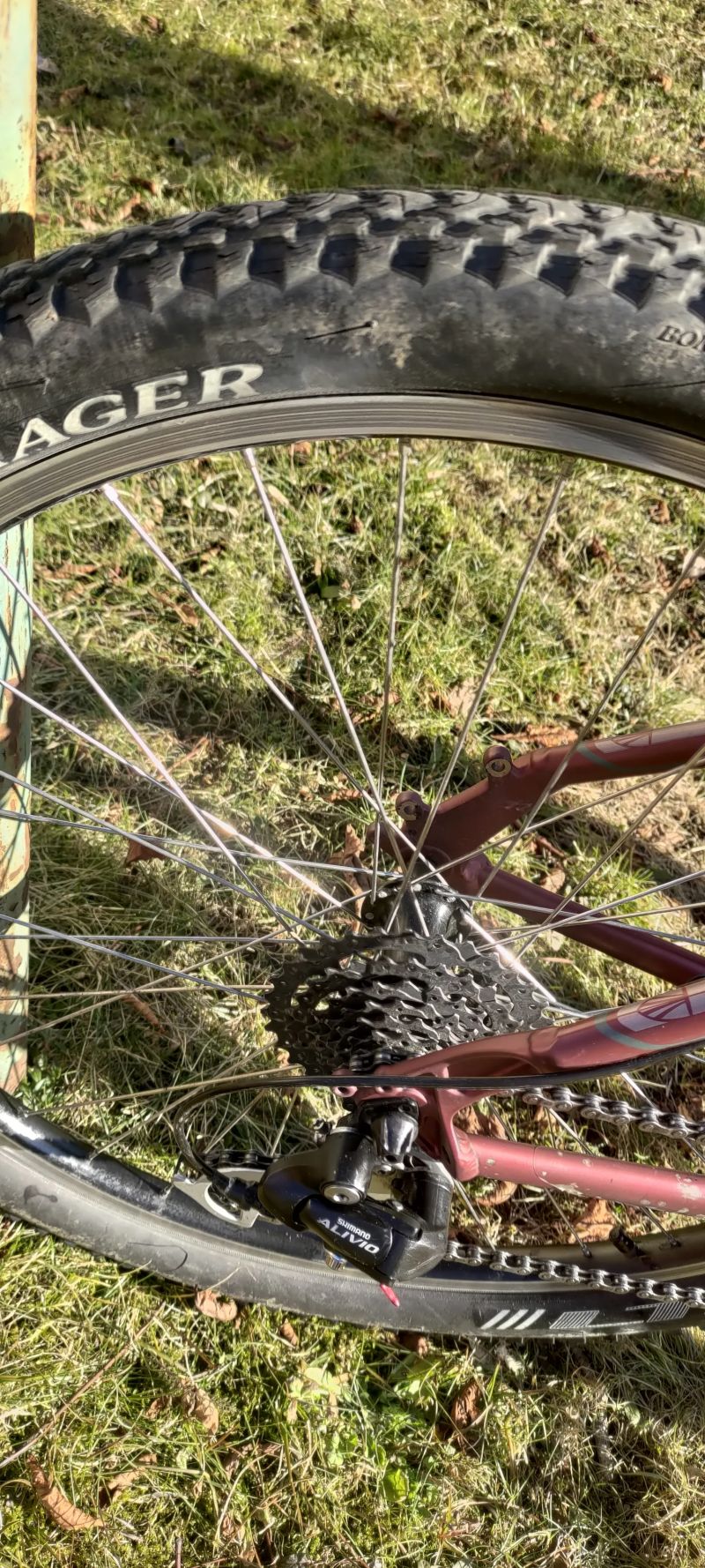 Trek Skye sl