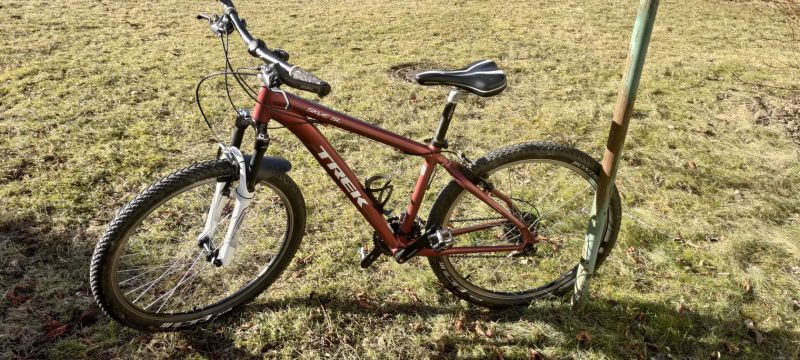Trek Skye sl