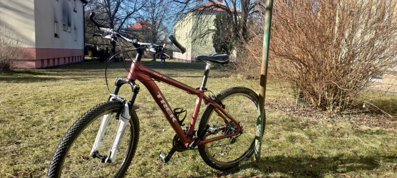 Trek Skye sl