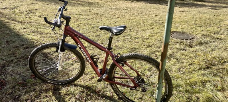 Trek Skye sl
