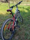 Giant Giant XTC 24