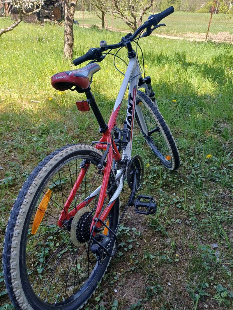 Giant Giant XTC 24