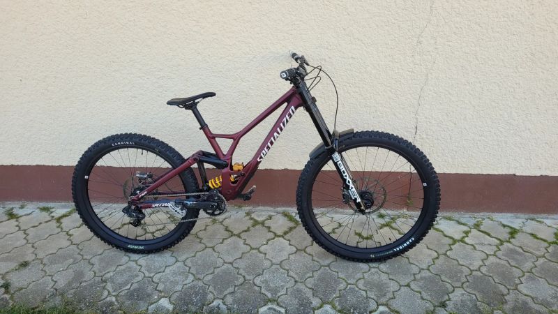 Specialized DEMO