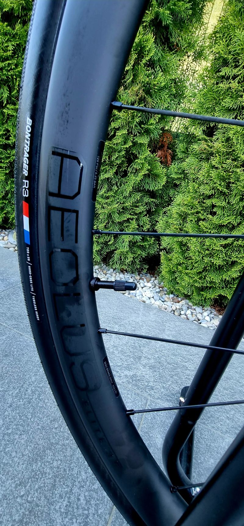 Trek Madone sl6