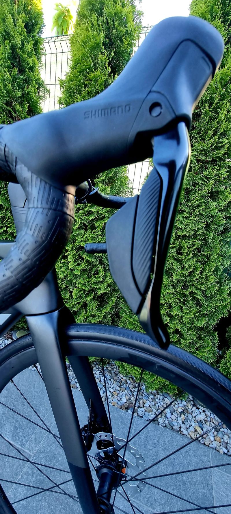 Trek Madone sl6