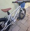Early Rider