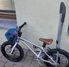 Early Rider
