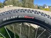 Specialized Riprock 24” Sagan Collection