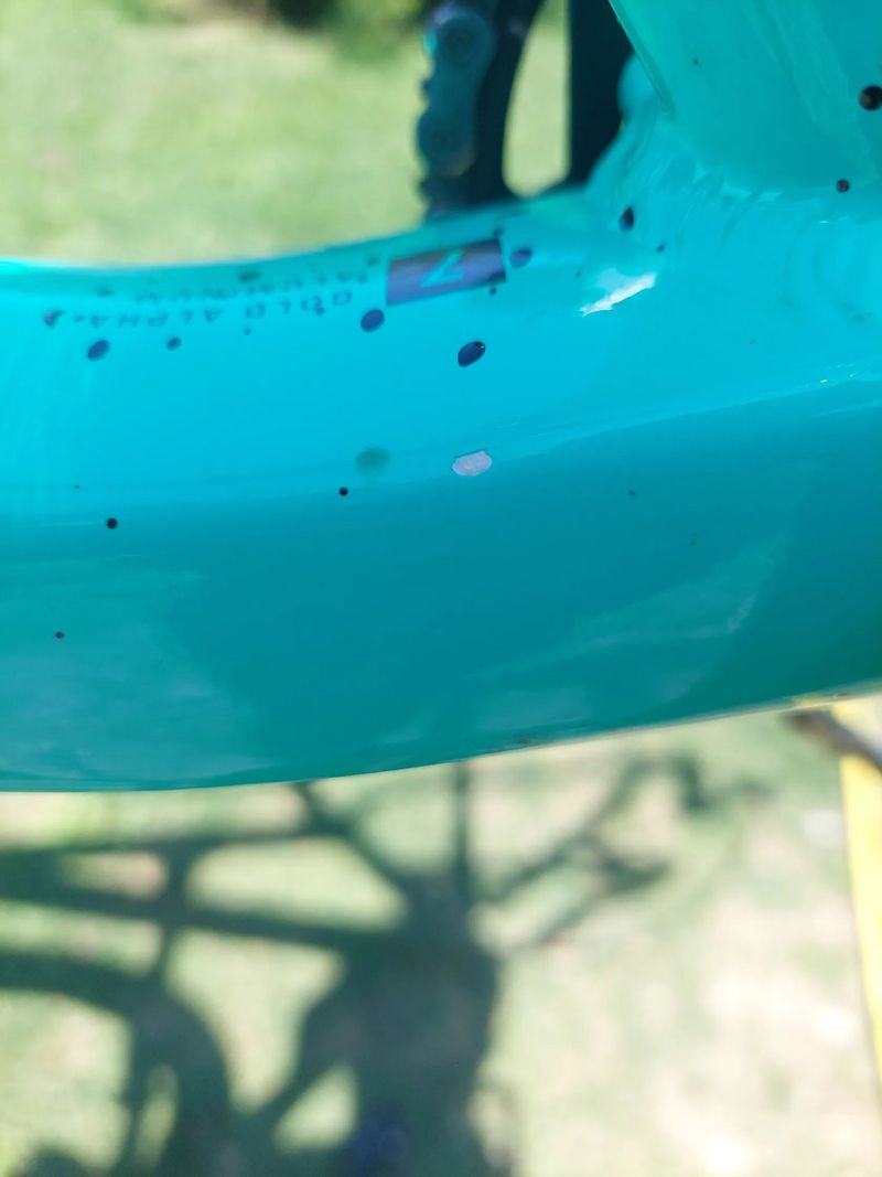 Trek Roscoe 7