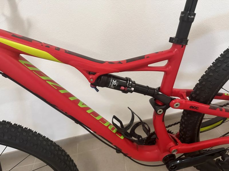 Specialized Camber